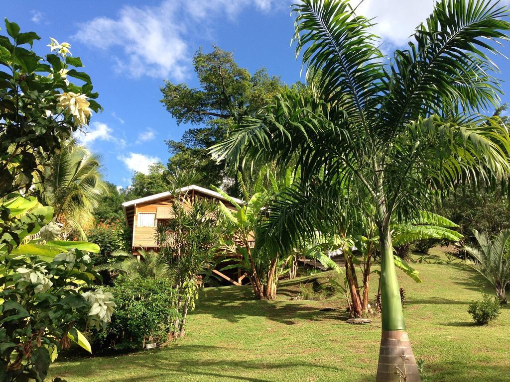 Gite 4 Etoiles, La Vieille Sucrerie St Claude Guadeloupe, Jacuzzi Spa Privatif, Vue Exceptionnelle Sur La Mer Des Caraibes Basse-Terre Exterior foto